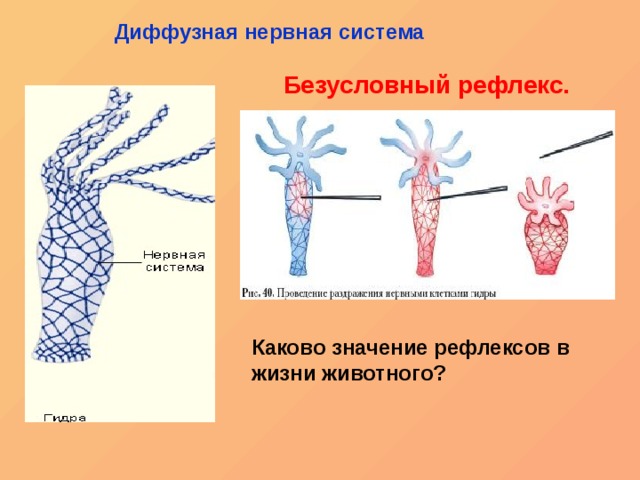 Кракен вход магазин kraken17ate pro