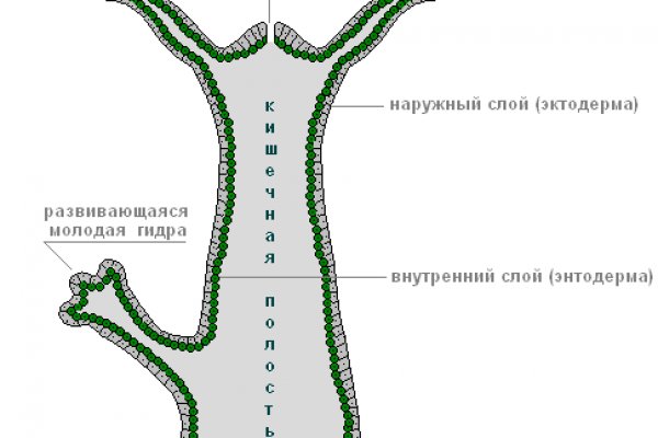 Ссылки зеркала на kraken